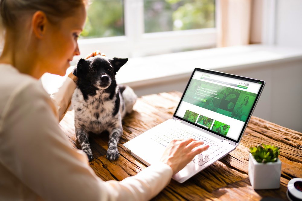 A woman with her dog browsing the Interzoo Academy website on a laptop