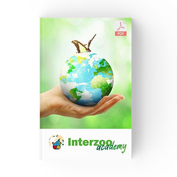 Cover of Executive Summary